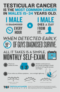 Exam self testicular cancer Testicular Cancer
