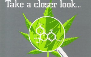medical-cannabis-for-beginners