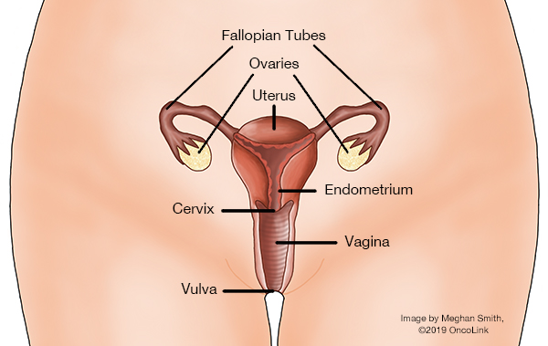 Vaginal Cancer: Staging and Treatment